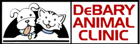 Veterinarian in Debary | Debary Animal Clinic